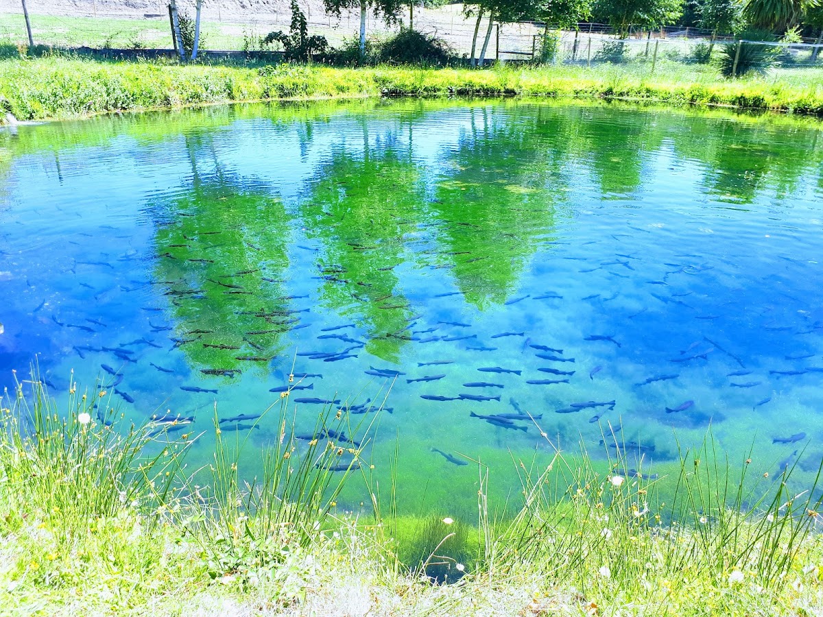 Casa Do Xisto Photos 2